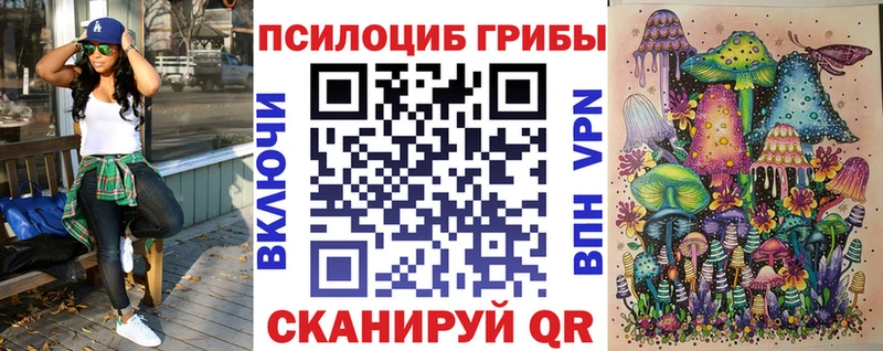 где продают наркотики  shop формула  Галлюциногенные грибы прущие грибы  Бабаево 