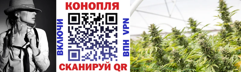 МАРИХУАНА White Widow  OMG как войти  Бабаево 